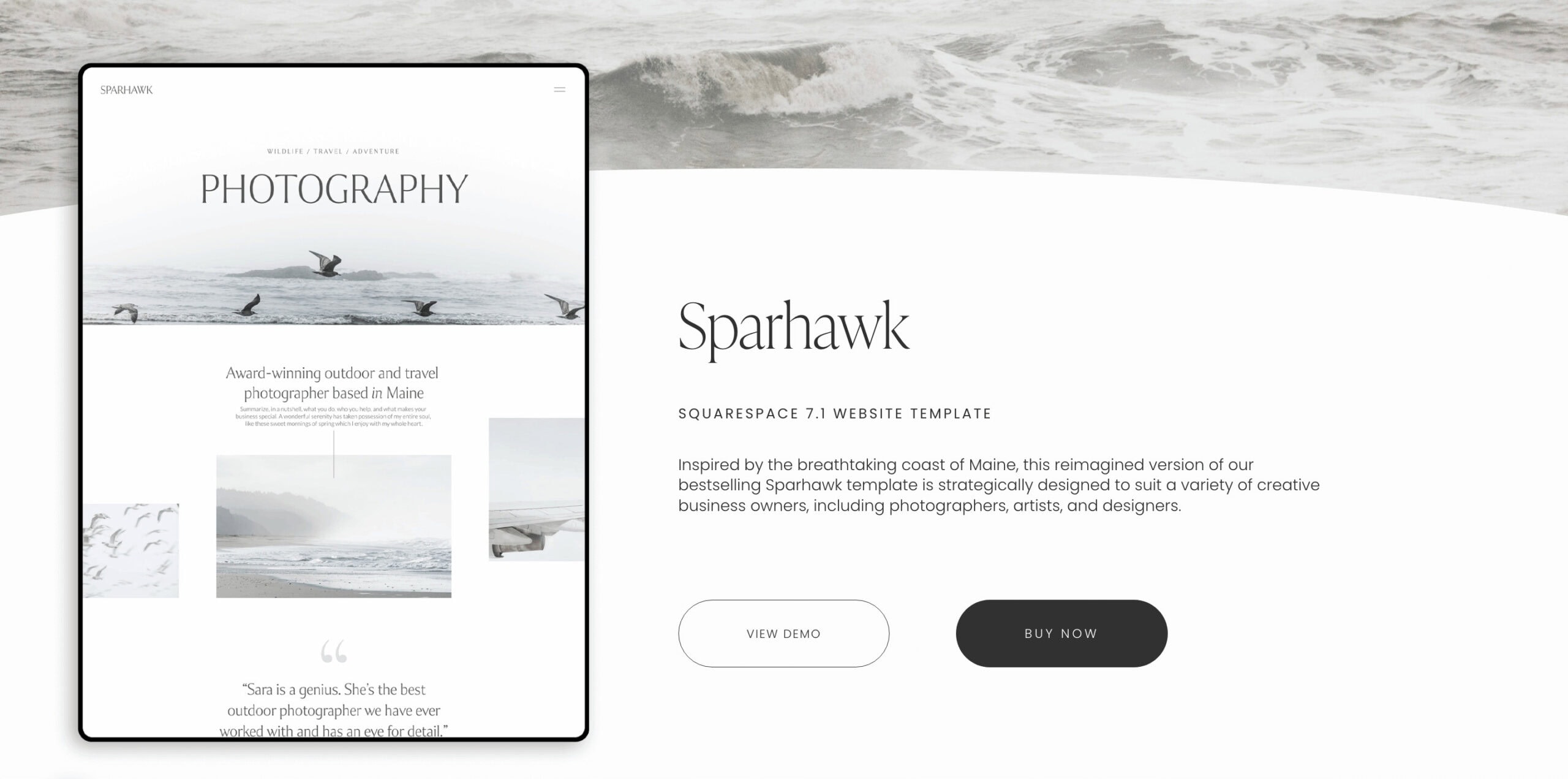 12 best Squarespace template shops for online business owners 7 12 best Squarespace template shops for online business owners 6